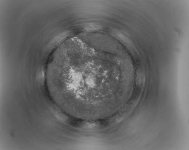 X0000113910405200910151422