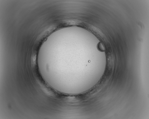 X0000113910406200910151422