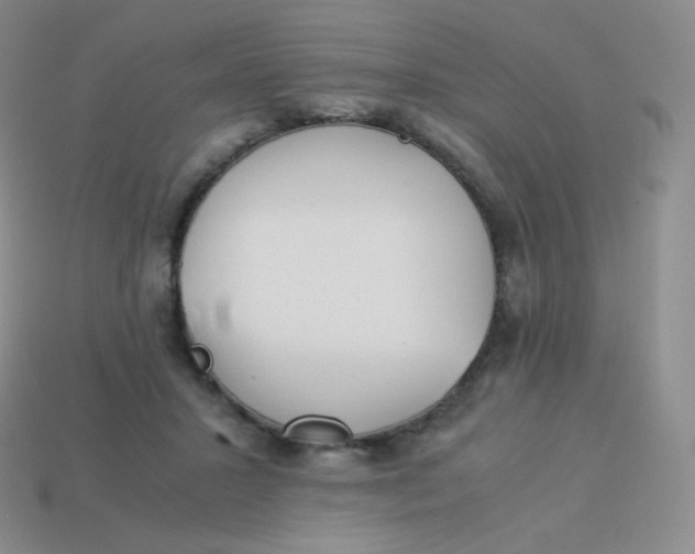 X0000113910407200910151422