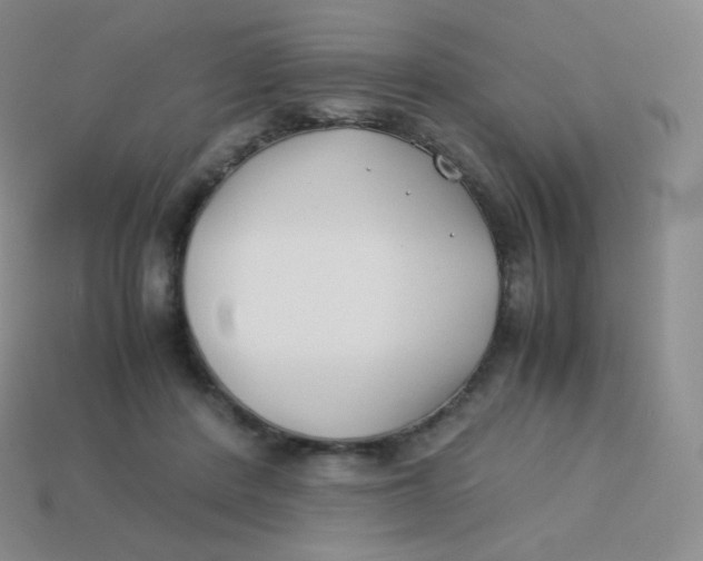 X0000113910408200910151422