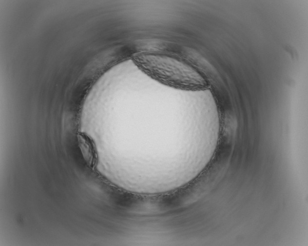 X0000113910409200910151422