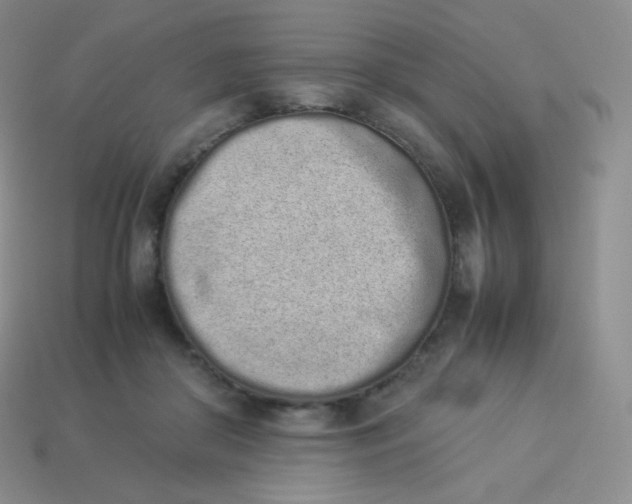 X0000113910410200910151422