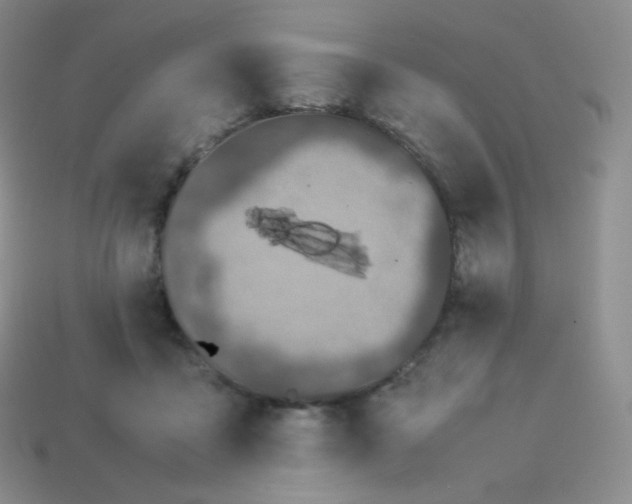 X0000113910411200910151422