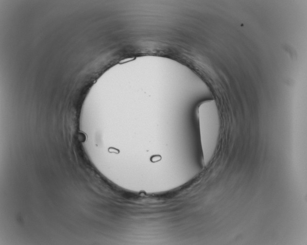 X0000113910413200910151422