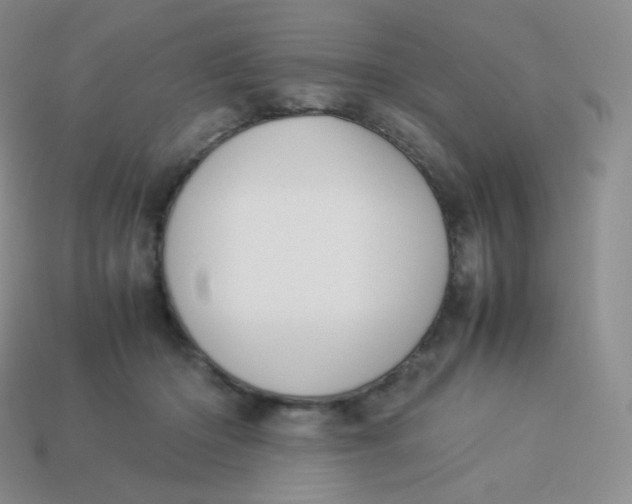 X0000113910414200910151422