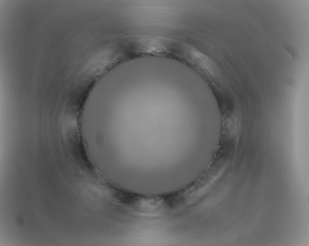 X0000113910415200910151422