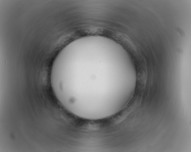 X0000113910416200910151422