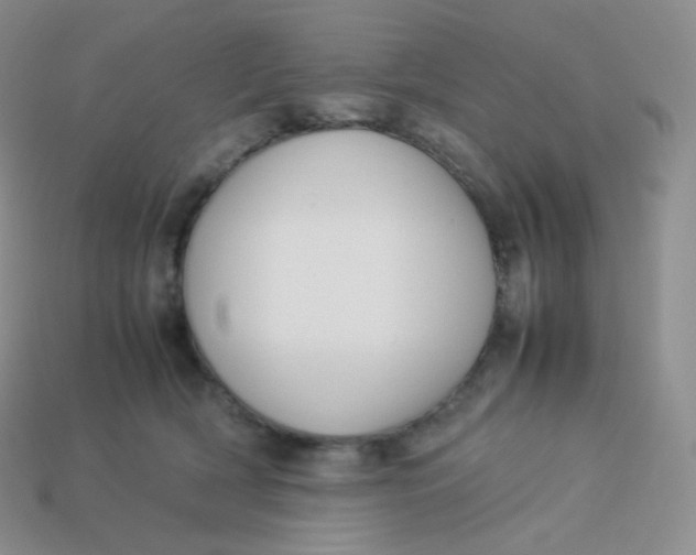 X0000113910418200910151422