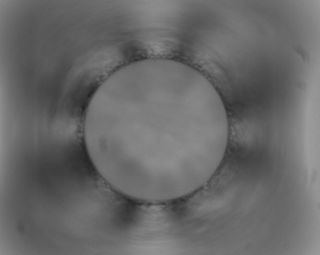 X0000113910419200910151422