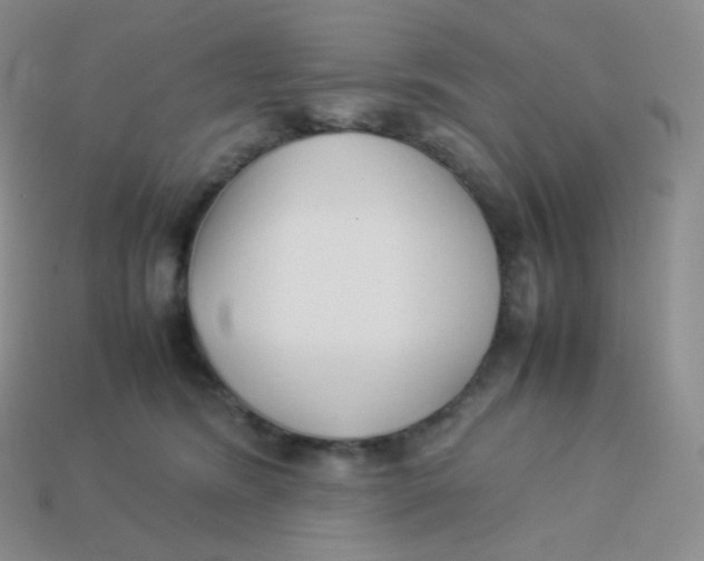 X0000113910420200910151422