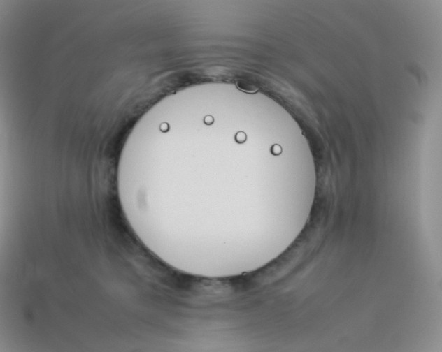 X0000113910421200910151422