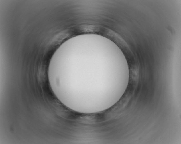 X0000113910422200910151422