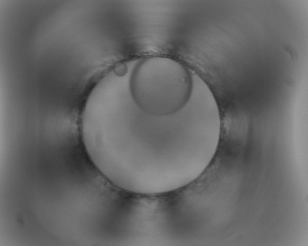 X0000113910423200910151422