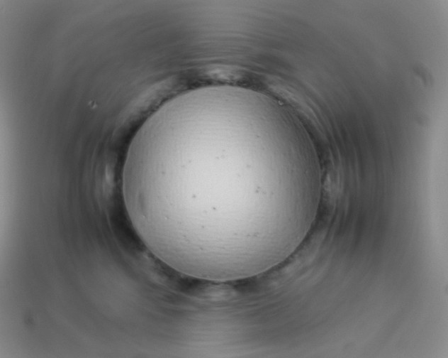 X0000113910424200910151422