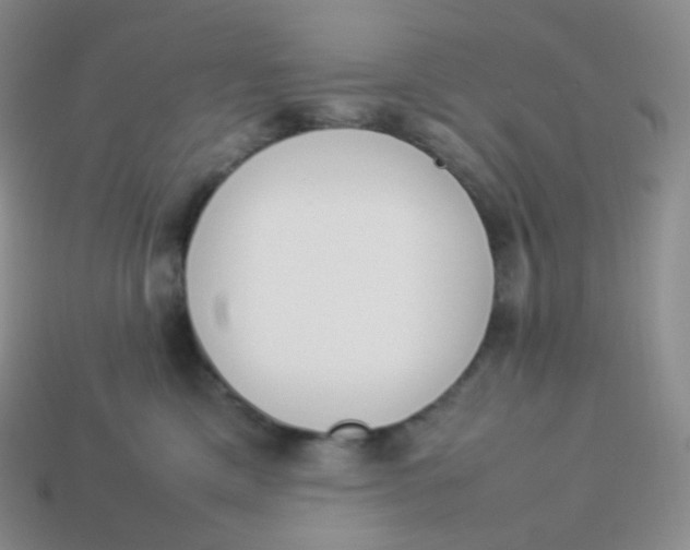 X0000113910425200910151422