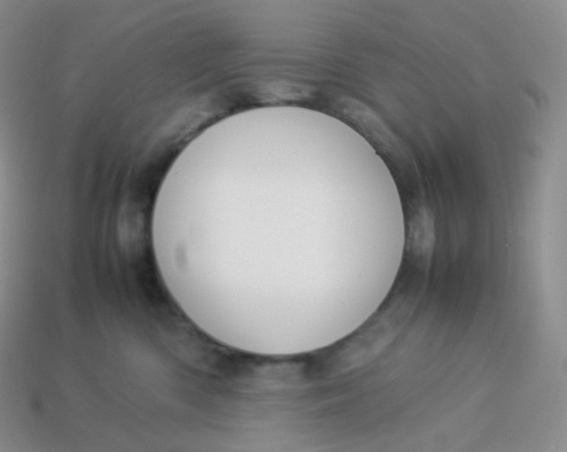 X0000113910426200910151422