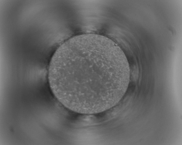 X0000113910427200910151422