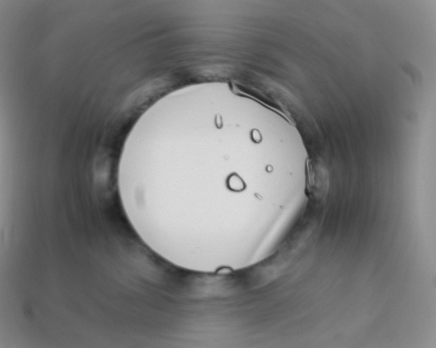 X0000113910428200910151422