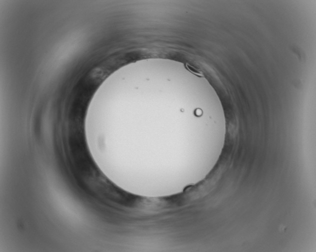 X0000113910429200910151422