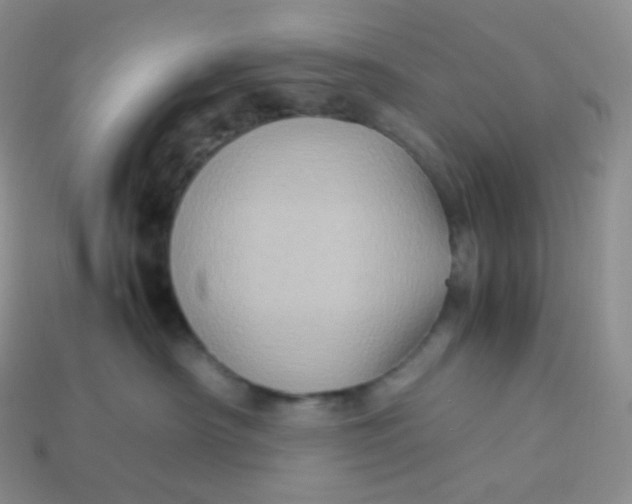 X0000113910430200910151422