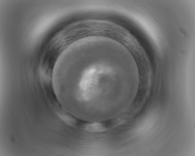 X0000113910431200910151422