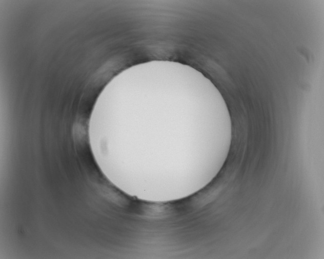 X0000113910432200910151422