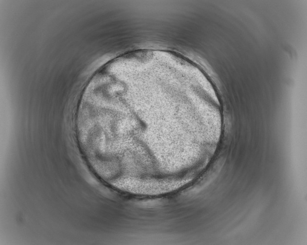 X0000113910433200910151421