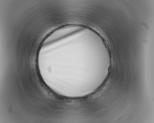 X0000113910434200910151421