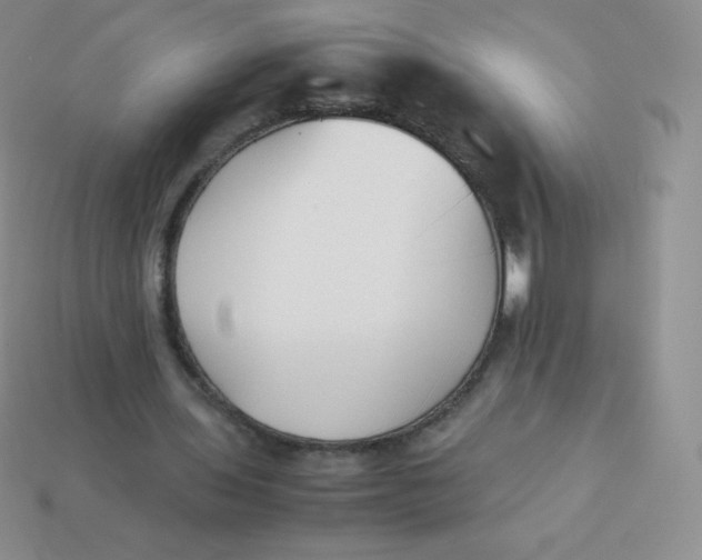 X0000113910435200910151421