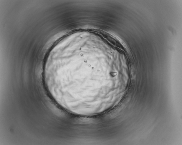 X0000113910437200910151421