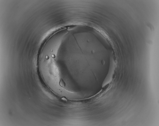 X0000113910438200910151421