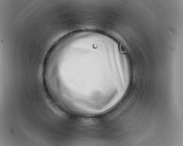 X0000113910439200910151421