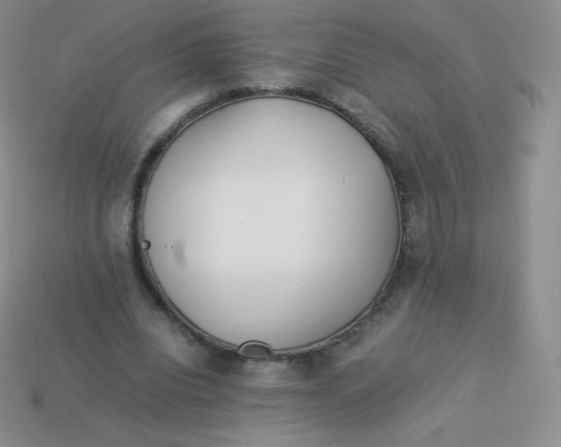 X0000113910440200910151421