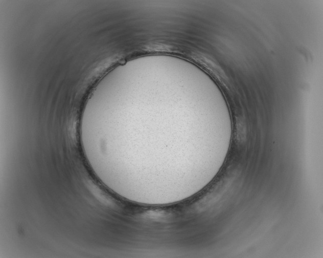 X0000113910441200910151421