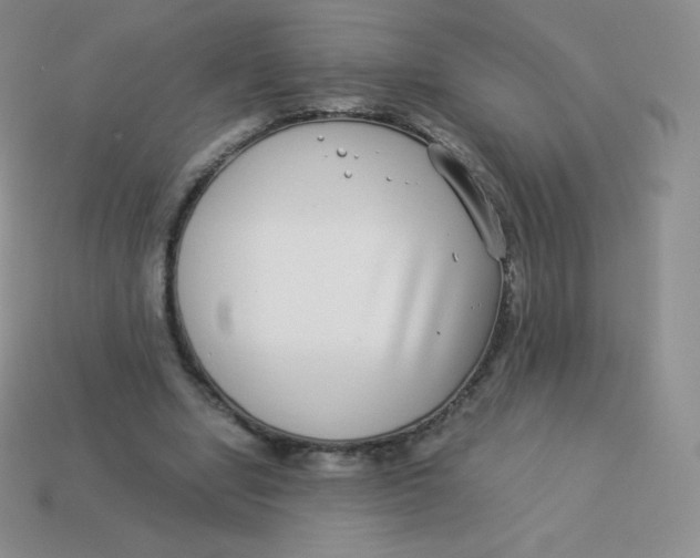 X0000113910442200910151421