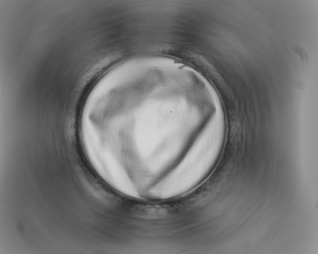 X0000113910443200910151421