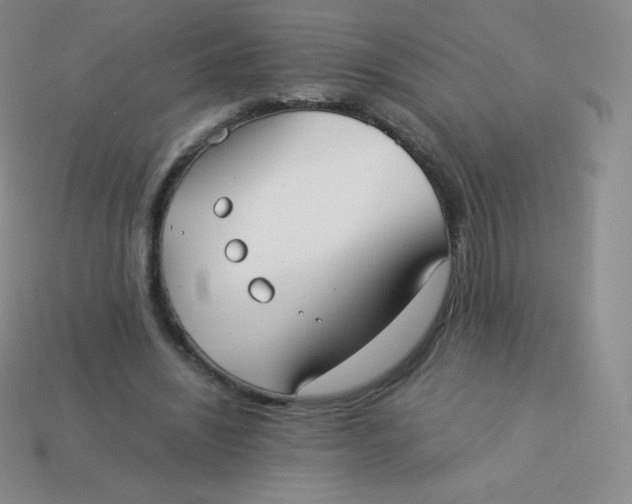 X0000113910444200910151421