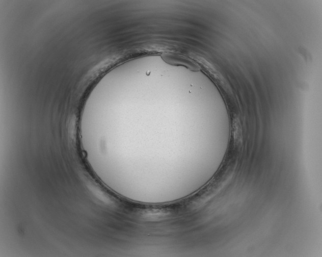 X0000113910445200910151421