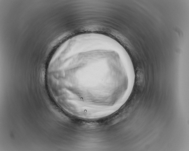 X0000113910446200910151421