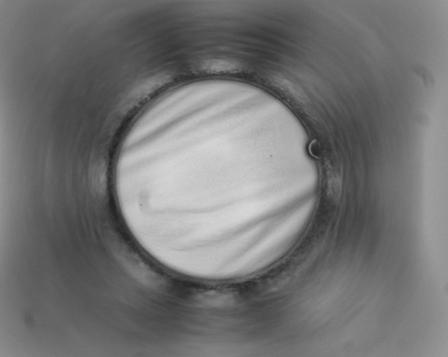 X0000113910447200910151421