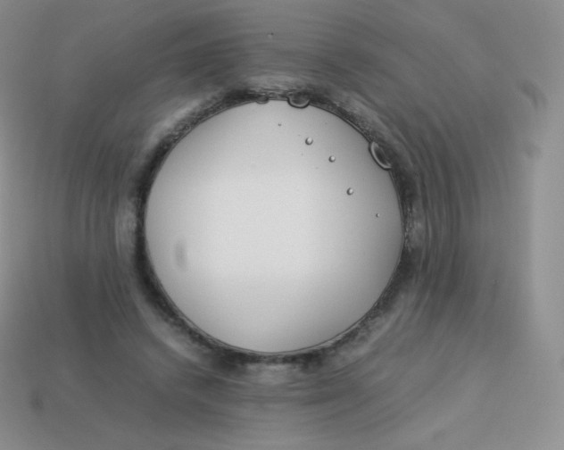 X0000113910448200910151421