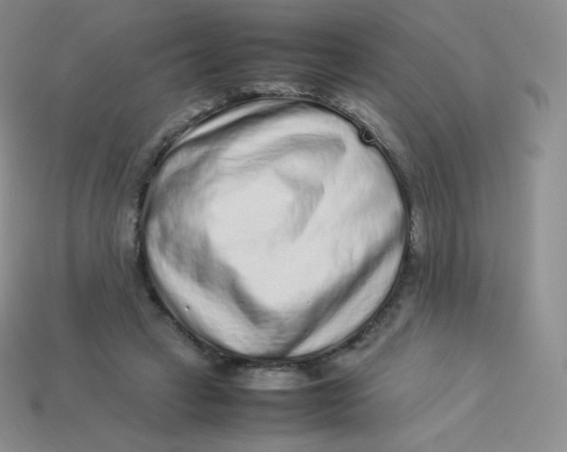 X0000113910449200910151421