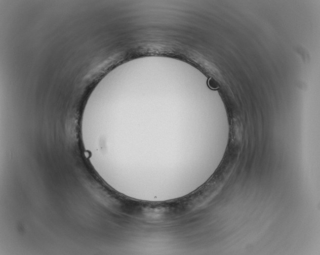 X0000113910450200910151421