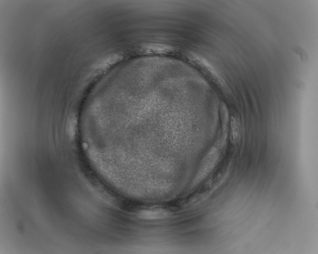 X0000113910451200910151421