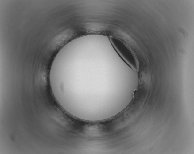 X0000113910452200910151421