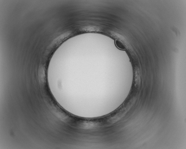 X0000113910453200910151421