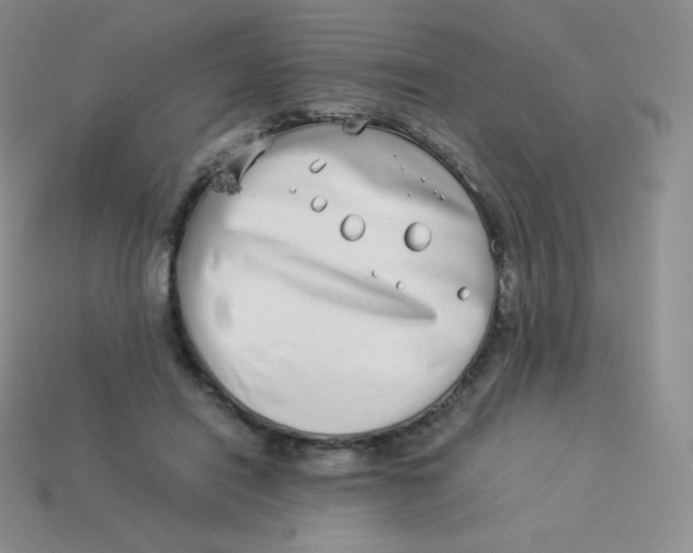 X0000113910454200910151421