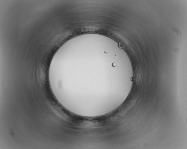 X0000113910455200910151421