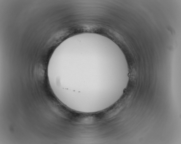 X0000113910456200910151421