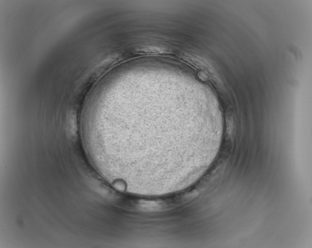 X0000113910457200910151421